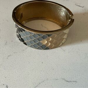 Natural ombre enamel fish scale animal print hinged bangle clamper cuff bracelet